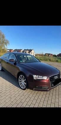 Audi A5 cena 65000 przebieg: 133700, rok produkcji 2014 z Niemodlin małe 121